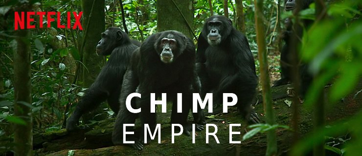 Η Αυτοκρατορία των Χιμπατζήδων